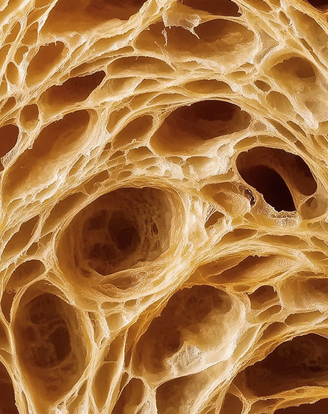 A closeup of bread